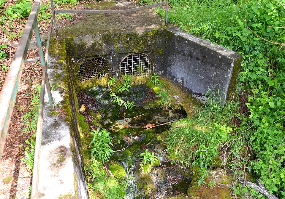 File:Quellhöhle Lochbrunnen, Unterdigisheim (Meßstetten).jpg