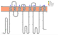 Thumbnail for version as of 18:52, 29 July 2020