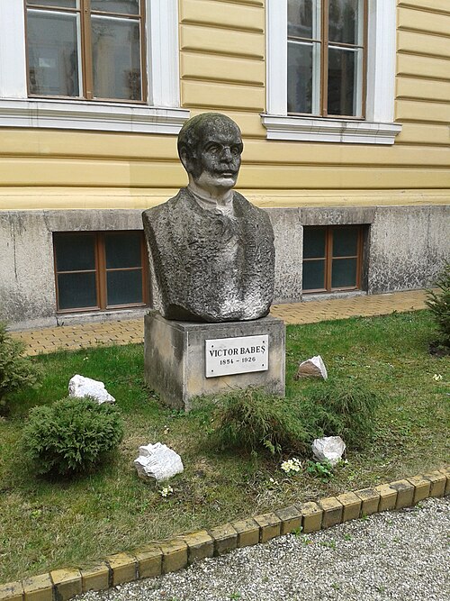 File:UBB12.jpg