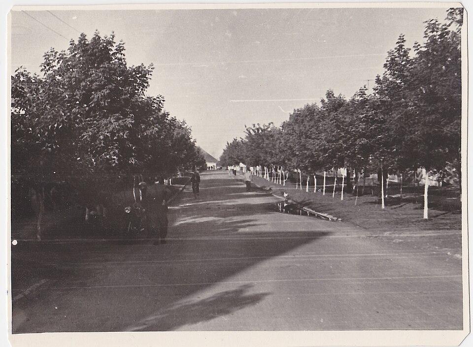 File:Родинское.jpg