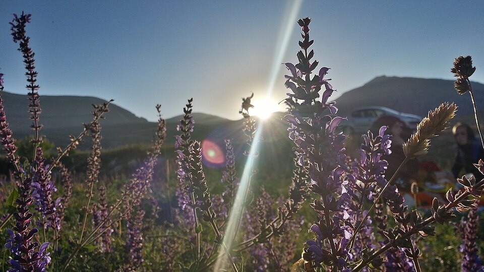 File:ایران-آذربایجان غربی-ماکو-روستای قره خاچ 2013-09-19 02-35.jpg
