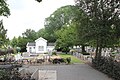 Exeter elm (background), De Iepenhof cemetery, Hoofddorp (2016)