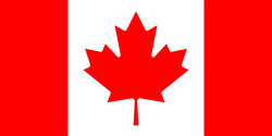 New SVG image