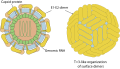 Thumbnail for version as of 13:46, 29 March 2024