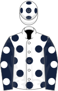 White, dark blue spots, dark blue sleeves, white spots