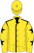 Yellow, black seams, yellow sleeves, black stars, yellow cap