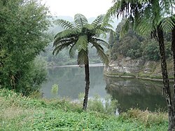 Upriver near Jerusalem (Hiruhārama)