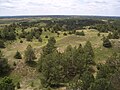 Image 8Nebraska National Forest (from Nebraska)