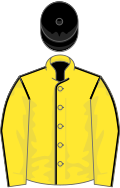 Yellow, black seams, black cap