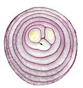 Thumbnail for version as of 10:55, 11 October 2014