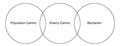Thumbnail for version as of 16:44, 8 May 2026