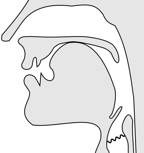 File:Voiced palatal nasal.svg