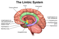Thumbnail for version as of 18:08, 11 February 2014
