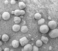 Thumbnail for version as of 22:36, 16 April 2008
