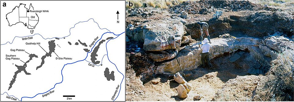 File:Malleodectes locality.jpg