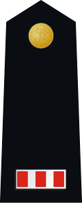 File:US Marine W-4 shoulderboard dress.svg