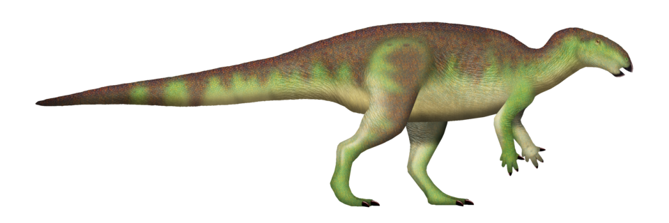 File:Calvarius TD.png
