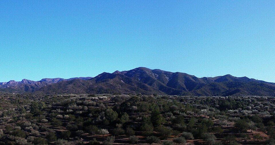 File:MassisdeCardo-montaspre2p.JPG