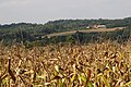 Sanković - panorama