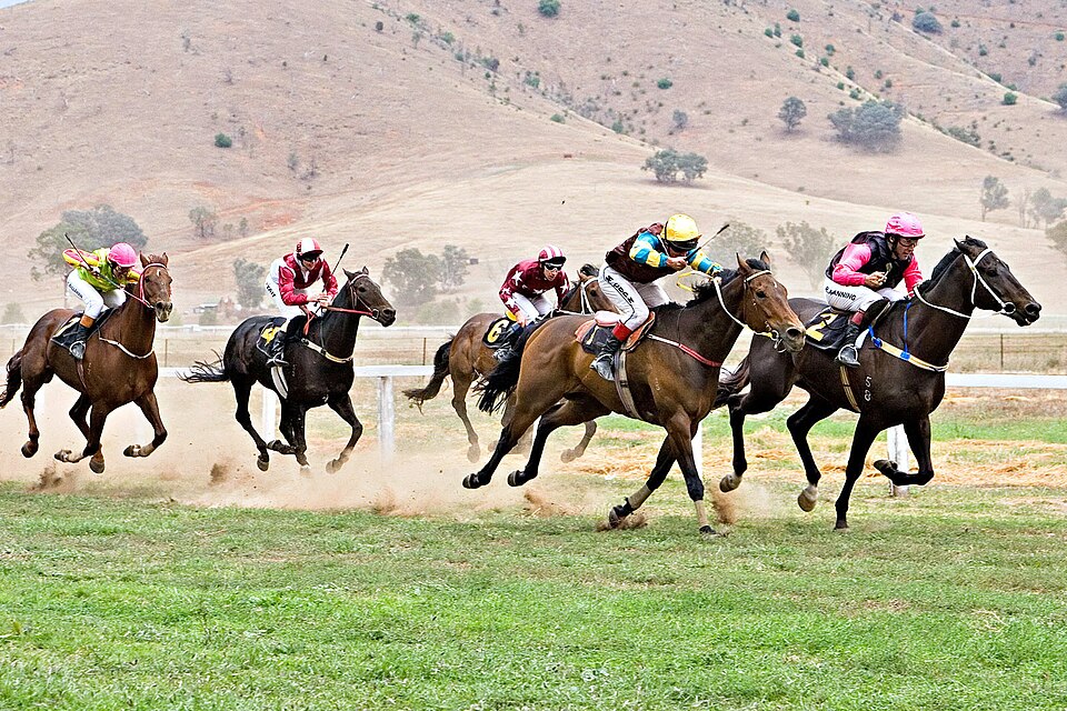File:Tambo valley races 2006 edit.jpg