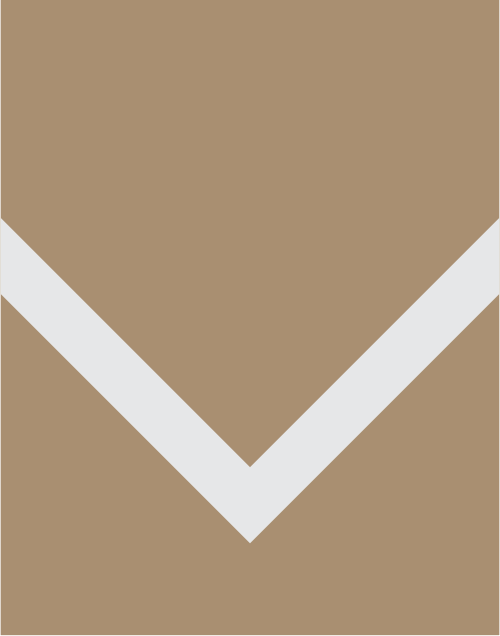 File:Bosnia and Herzegovina Private Insignia.svg