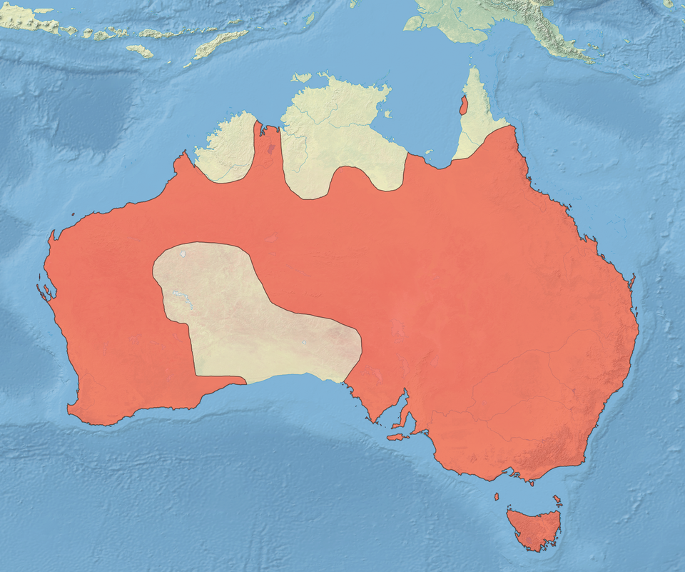 File:Chenonetta jubata distribution map.png