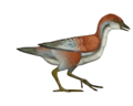 Thumbnail for version as of 00:31, 3 March 2025