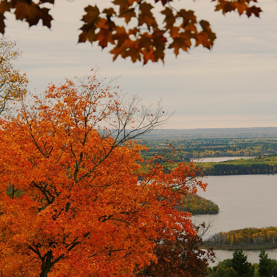 File:Skyline View in Autumn.jpg
