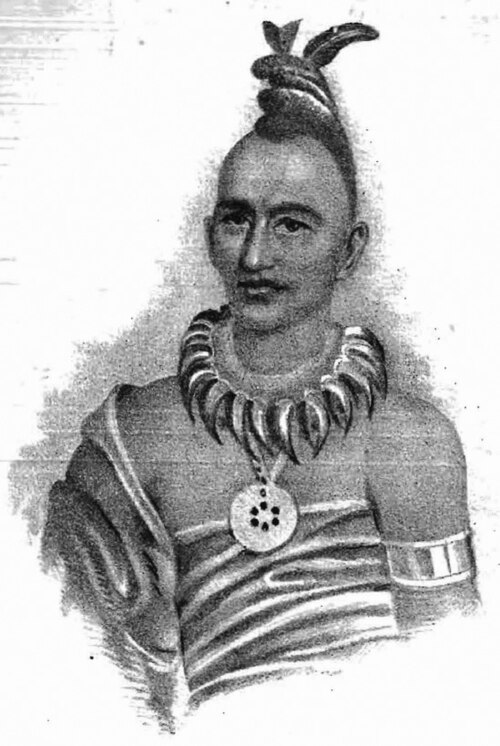 File:Taimah.jpg