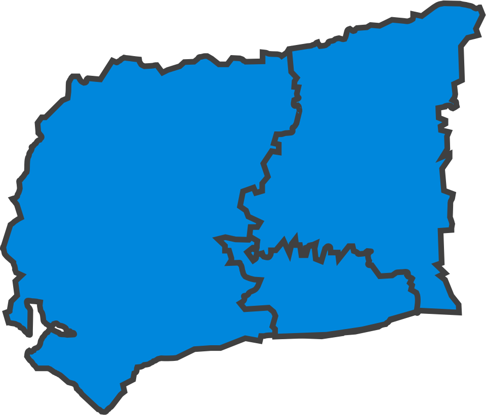 File:WestSussexParliamentaryConstituency1945Results.svg