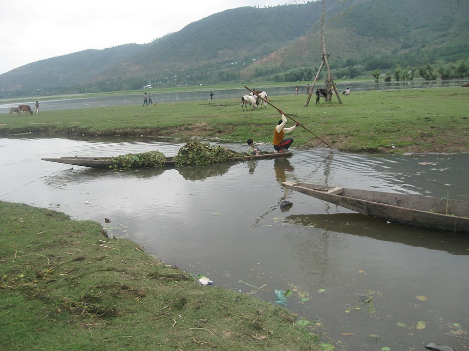 File:Wullar - Extraction of Aquatic Plants.jpg