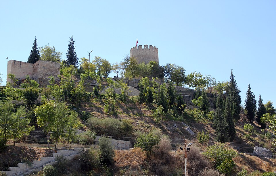 File:MutKale1.jpg