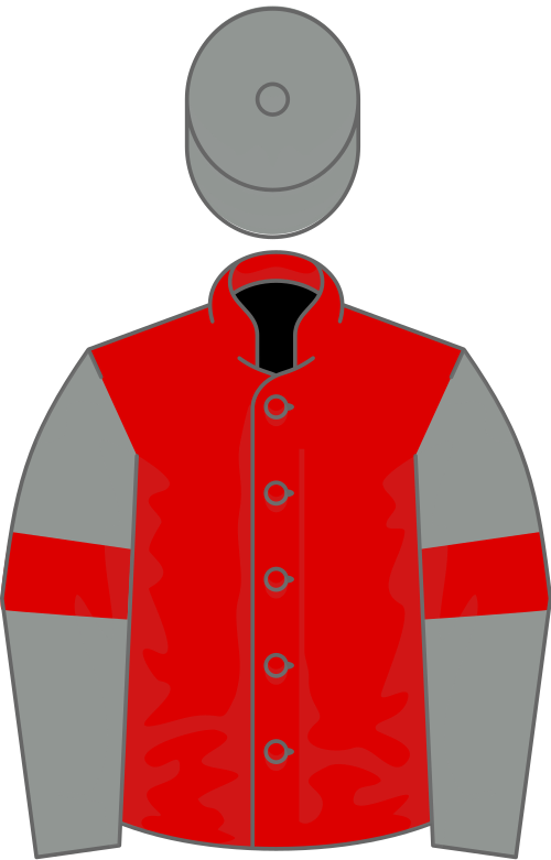 File:Owner Canon (anglia) O A Ltd.svg