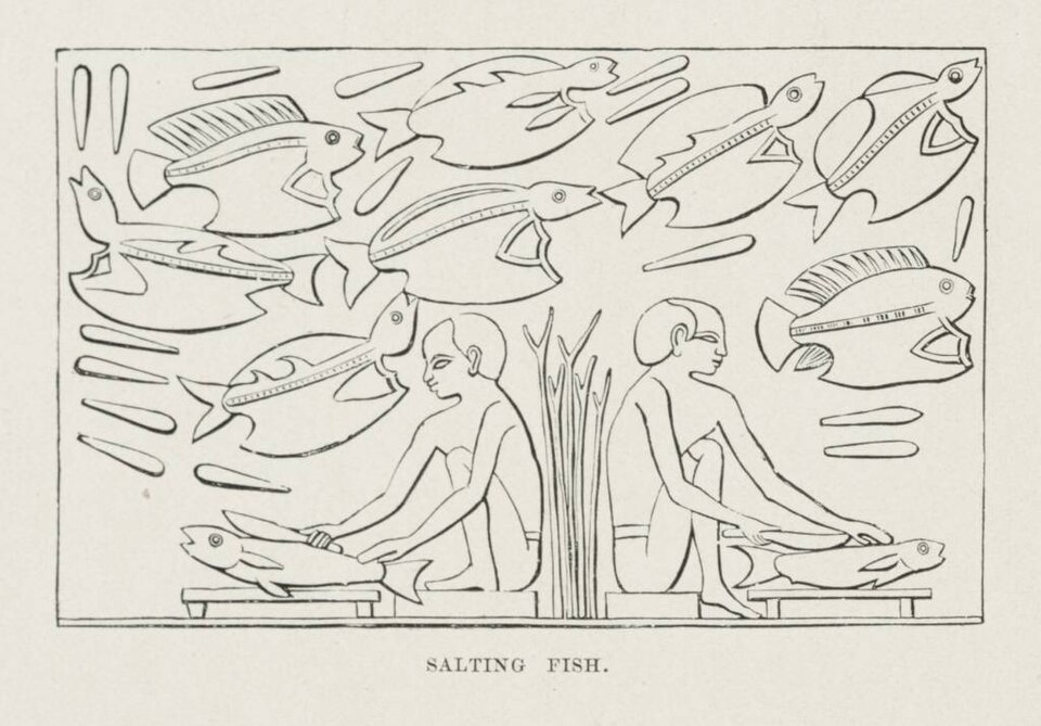 File:Salting Fish (1878) - TIMEA.jpg