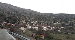 Pteri