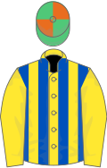 YELLOW and ROYAL BLUE STRIPES,yellow sleeves,emerald green and orange quartered cap