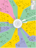 Thumbnail for version as of 15:34, 2 June 2023