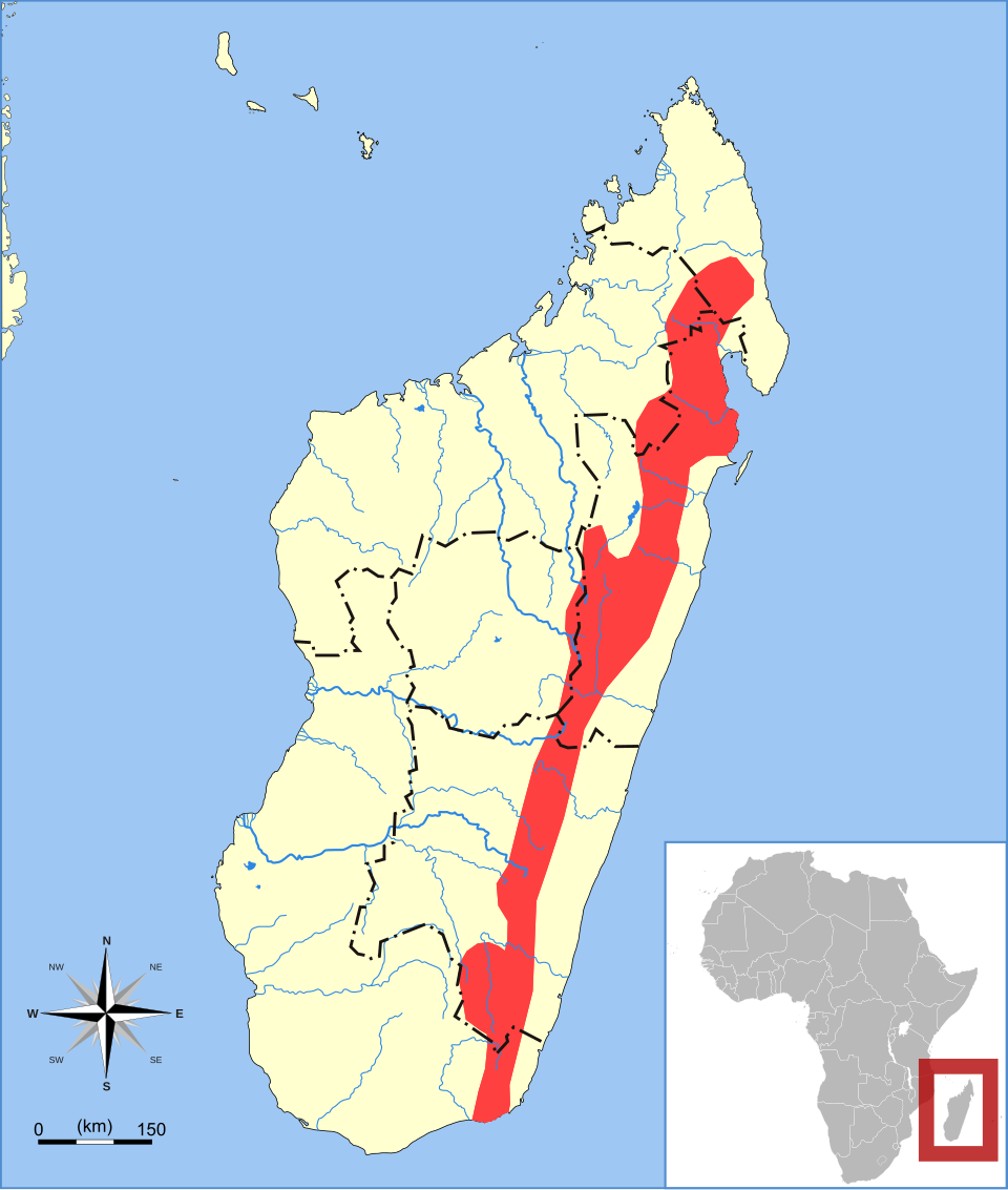 File:Microgale principula range map.svg