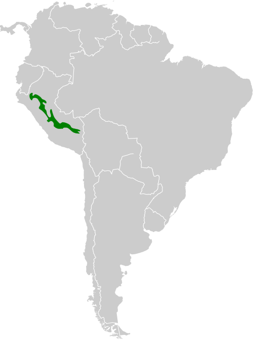 File:Phaethornis koepckeae map.svg