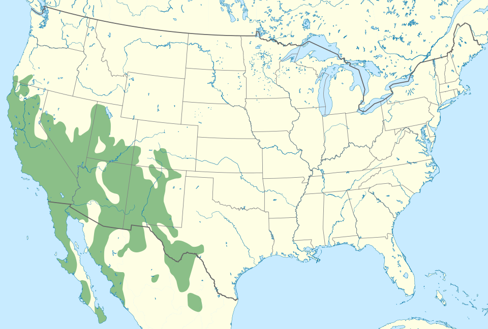 File:Thomomys bottae distribution map.svg