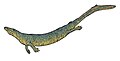 Dallasaurus.