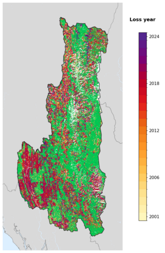 Map of Chin State showing tree-cover loss years, with forest remaining since 2000 in green and loss years shaded yellow through purple.
