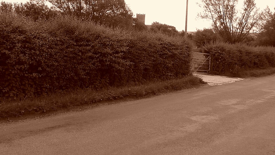 File:Palmer sites Uffington church 2011 035.jpg