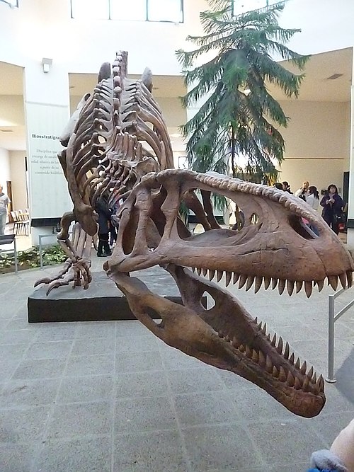 File:Tyrannotitan MEF 003.JPG