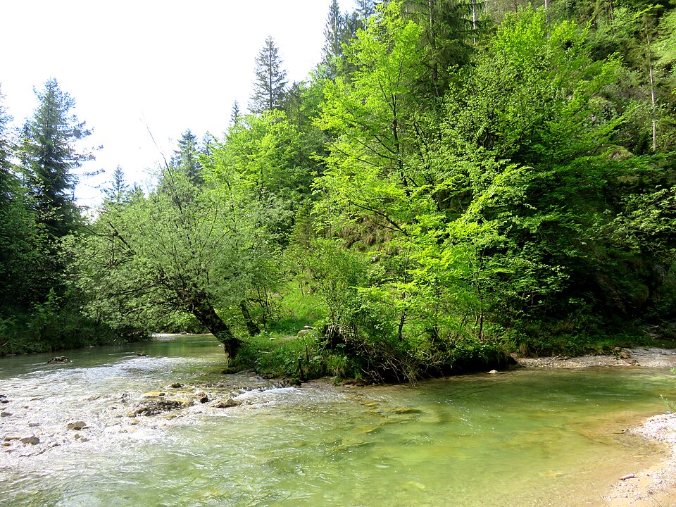 File:Ustje Ig Slovenia - confluence.jpg
