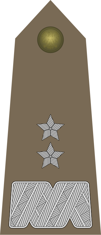 File:Army-POL-OF-07.svg