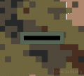 Private