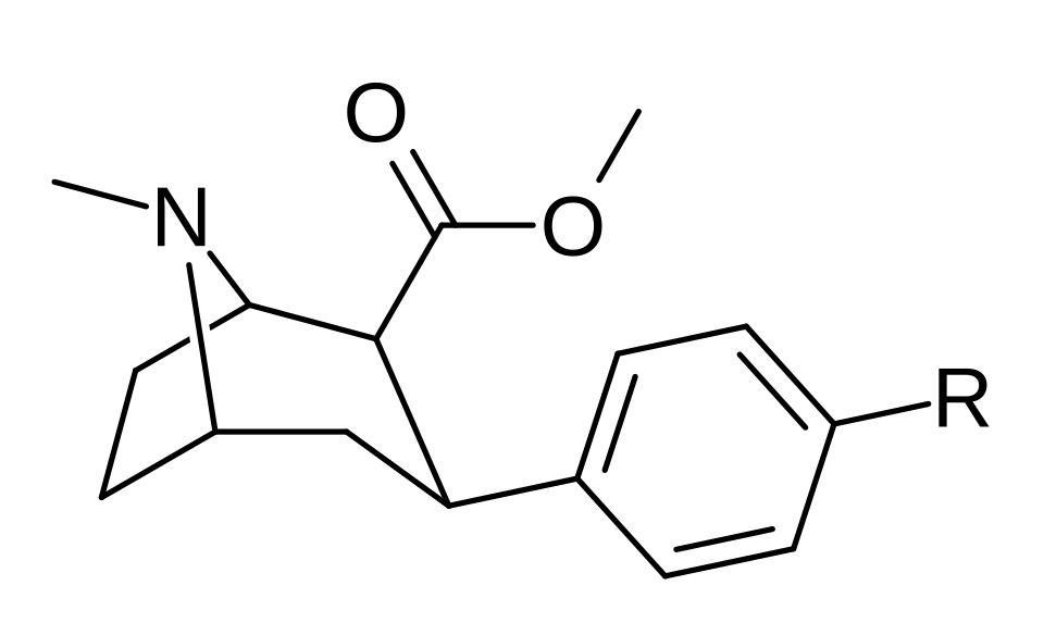 File:Phenyltropane 11a-bb.svg