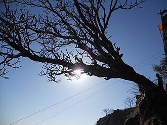 Sunshine on the fort