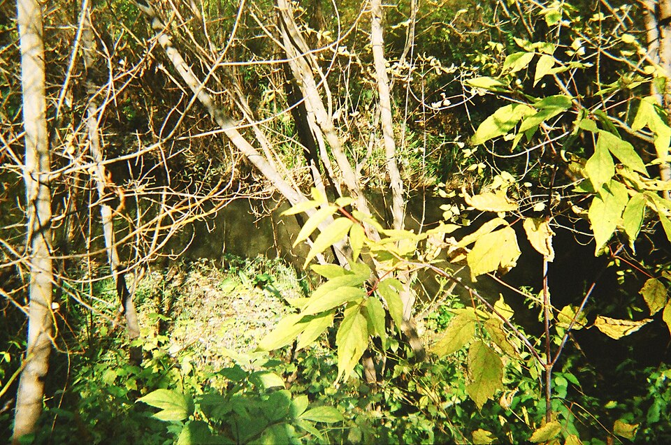 File:Yegoshikha River 2.jpg